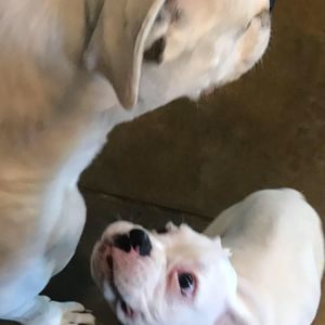 Meet your Posher, Mark